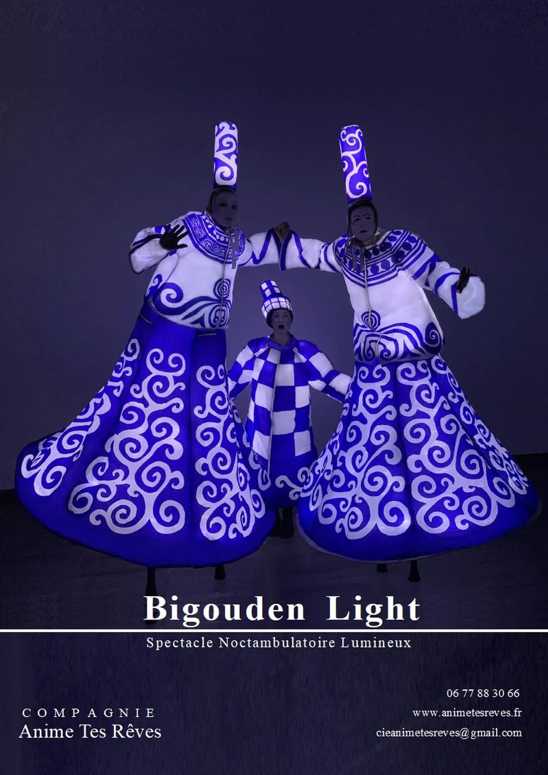 La compagnie " Anime tes rêves ".